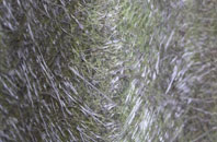 Mountain Air fibreglass roof work